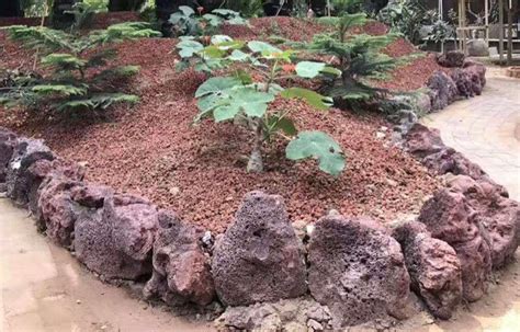 火山石一般在哪些地方有(什么地方可以找到火山石)縮略圖