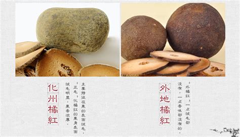 化州橘紅的效果與功效和什么因素有關,化州橘紅的效果與功效和什么因素有關?縮略圖