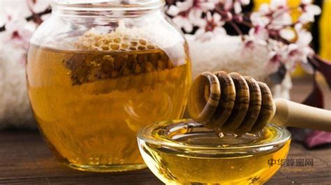楓糖和蜂蜜有什么區別,楓糖和蜂蜜有什么區別嗎縮略圖