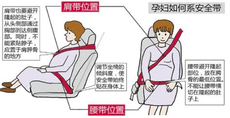 安全帶的正確掛法,安全帶的正確掛扣應(yīng)該是縮略圖
