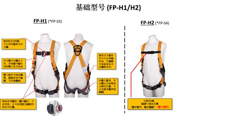 安全帶有效期幾年(高空作業(yè)安全帶有效期是幾年)縮略圖