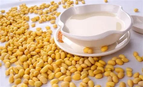 維維豆奶粉喝了發(fā)胖嗎,豆?jié){減肥法10天瘦10縮略圖