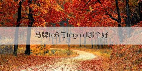 馬牌tc6和uc6和cc6哪個好(馬牌tc6和uc6和cc6建議選哪一個)縮略圖