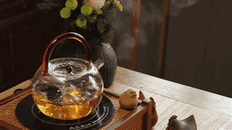 養(yǎng)生壺煮茶的正確方法,養(yǎng)生壺煮茶的正確方法是縮略圖