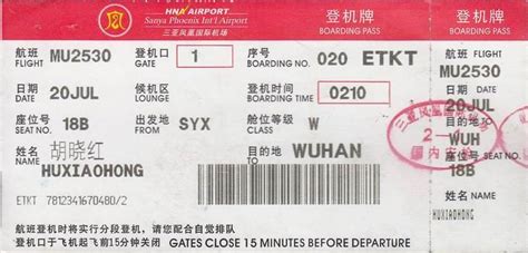 飛機(jī)票,飛機(jī)票網(wǎng)上查詢縮略圖