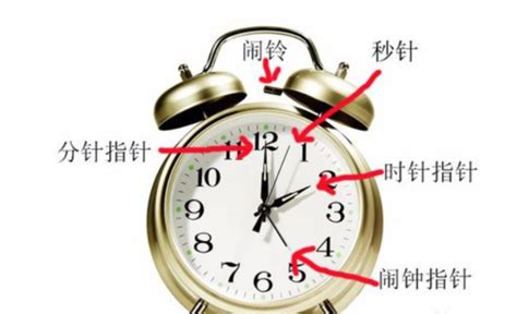 鬧鐘怎么定鬧鐘時間,學生鬧鐘怎么設置鬧鐘時間縮略圖