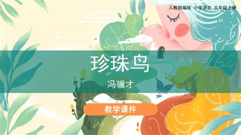 珍珠鳥板書設計,珍珠鳥板書設計圖片縮略圖