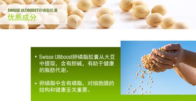 軟磷脂百度百科(軟磷脂百度百科最新)縮略圖