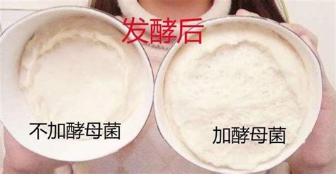 發酵粉放多了對人身體有害嗎,1斤面粉放幾克安琪干酵母縮略圖