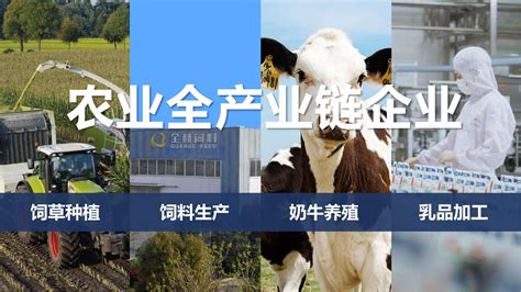 花花牛是國(guó)企嗎(花花牛是國(guó)企嗎?)縮略圖