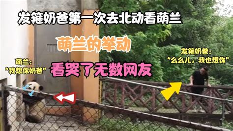 發(fā)箍奶爸最新消息(發(fā)箍奶爸最新消息曝光)縮略圖
