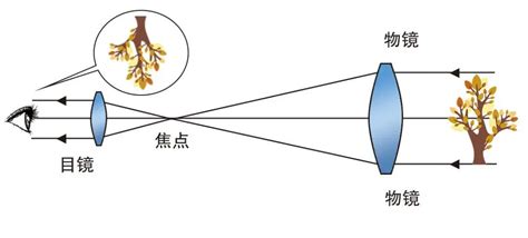 望遠鏡成像原理(望遠鏡成像原理圖)縮略圖