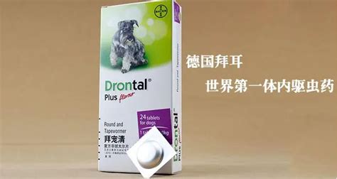 拜寵清使用方法(拜寵清使用方法和注意事項)縮略圖