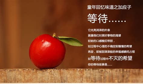 加應(yīng)子是什么東西(加應(yīng)子是哪里的特產(chǎn))縮略圖
