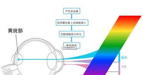 葉黃素對(duì)眼睛有什么功效(葉黃素對(duì)眼睛有什么功效和作用)縮略圖