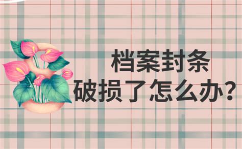 檔案袋破損了怎么辦(檔案袋破損了怎么辦,但沒看見里面的東西)縮略圖