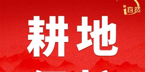 黑土地保護法,黑土地保護法實施時間縮略圖