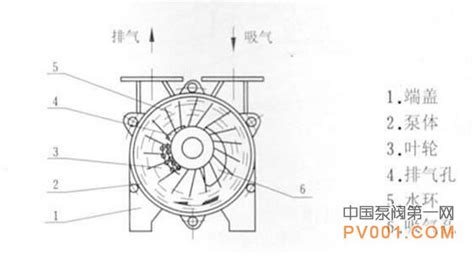 真空泵原理 水環式真空泵,水環式真空泵工作原理縮略圖