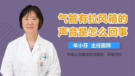 氣管有拉風(fēng)箱的聲音(氣管有拉風(fēng)箱的聲音吃什么藥物)縮略圖