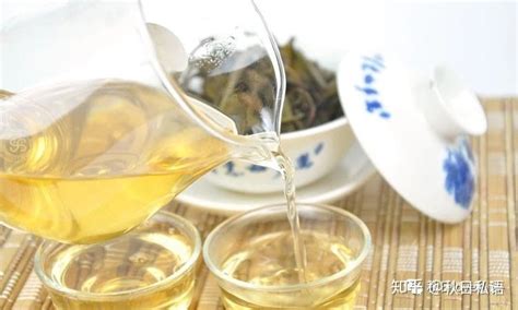 冰島茶怎么樣(冰島茶怎么樣值得購買)縮略圖