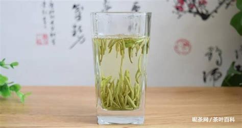 漢中仙毫功效,漢中仙毫功效作用縮略圖