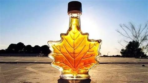 楓糖漿為什么不能進入中國,楓糖漿和蜂蜜哪個好縮略圖