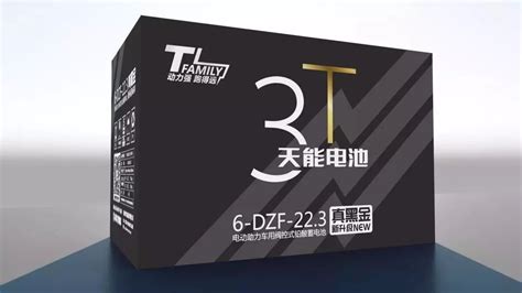 天能黑金t3,天能黑金t3多少錢縮略圖