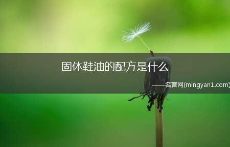 鞋油的成分(鞋油的成分跟護手霜一樣嗎)縮略圖