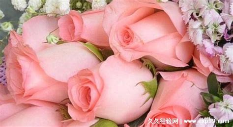 粉玫瑰是不能隨便送人的,粉玫瑰是不能隨便送人的30朵縮略圖