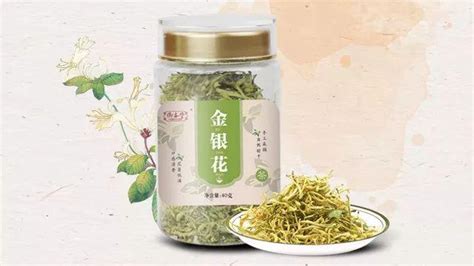 金銀花露的所有書(金銀花露的所有書字字珠璣)縮略圖