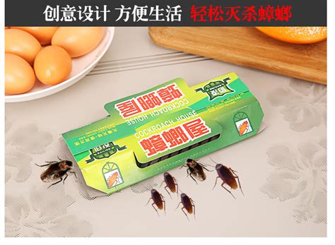 蟑螂藥怎么投放,蟑螂藥怎么投放效果最好縮略圖