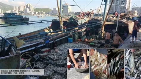 魚露致癌是真是假(魚露和蠔油是一樣嗎)縮略圖