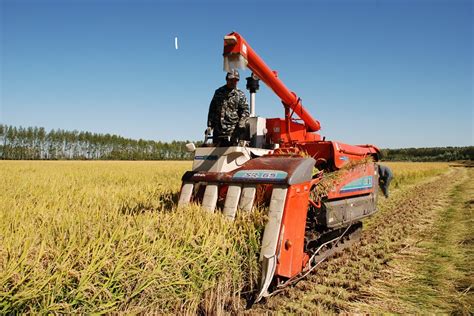 自走式水稻收割機(自走式水稻收割機視頻)縮略圖