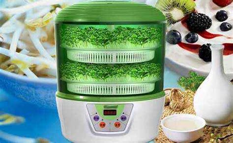 豆芽機多少錢一臺 商用 中型(豆芽機多少錢一臺 商用 中型孫繼發)縮略圖