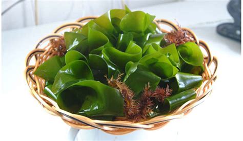 裙帶菜,裙帶菜直播帶貨縮略圖