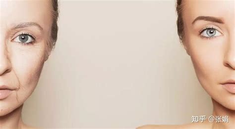 抗氧化護(hù)膚品的功效(抗氧化護(hù)膚品的功效與作用)縮略圖