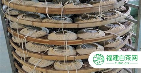 白茶的存放及保質期(白茶保質期多長時間)縮略圖