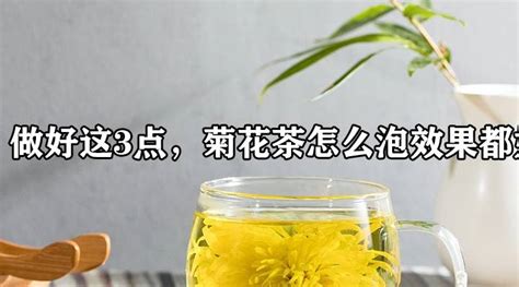 菊花茶可以天天喝嗎,玫瑰花茶可以天天喝嗎縮略圖