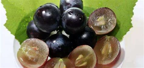 葡萄籽油的正確吃法與功效(葡萄籽油的正確吃法與功效禁忌)縮略圖