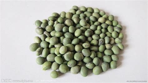 青豆是什么豆(青豆是什么豆剝出來的)縮略圖