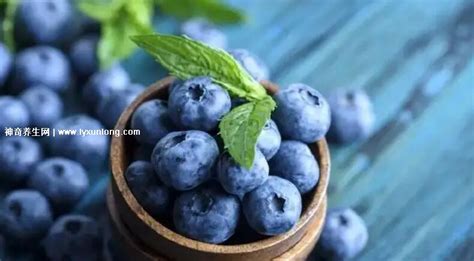藍(lán)莓干一天吃多少為宜,藍(lán)莓干一天吃多少為宜小孩縮略圖