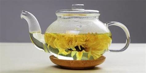 菊花茶喝多了有什么壞處(菊花茶喝多了有什么壞處嗎)縮略圖