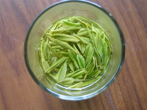 白茶(白茶的功效與作用)縮略圖