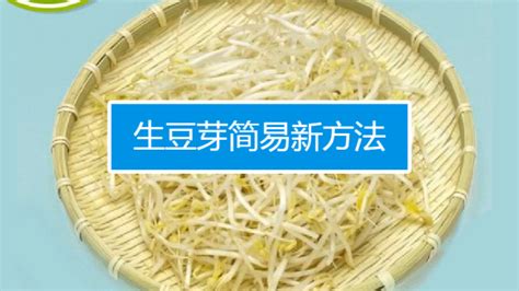 豆芽機制作豆芽視頻(豆芽機怎么發豆芽的全部流程)縮略圖