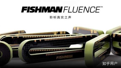 拾音器品牌排行(拾音器品牌排行榜)縮略圖