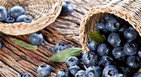 藍(lán)莓干的功效與作用(藍(lán)莓干的功效與作用多少錢(qián))縮略圖