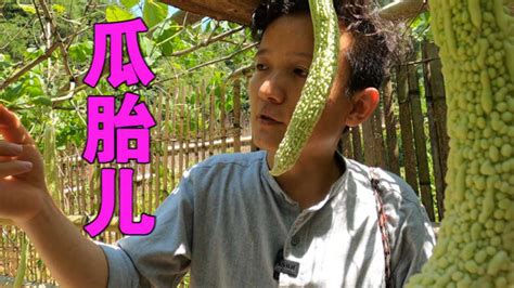 水果獵人楊曉洋(水果獵人楊曉洋直播)縮略圖