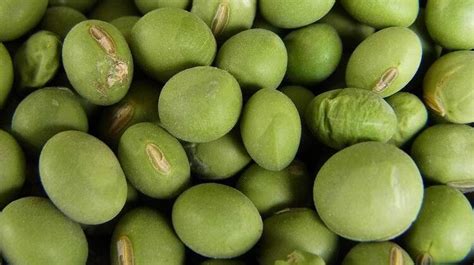 青豆的功效與作用,青豆的功效與作用禁忌及食用方法縮略圖