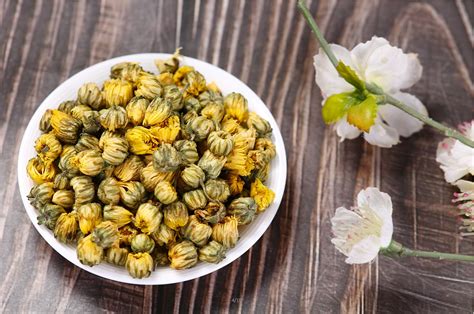 菊花茶的功效與作用(菊花茶的功效與作用禁忌和副作用)縮略圖