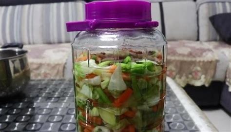 泡菜的制作方法 家用簡單(泡菜的制作方法家用簡單)縮略圖